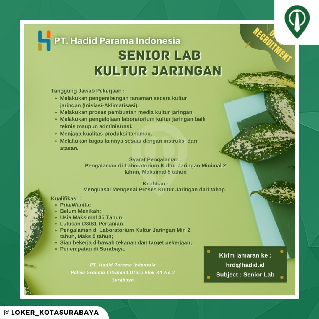 Lowongan Kerja SENIOR LABORATORIUM KULTUR JARINGAN
_____
PT Hadid Parama Indones...