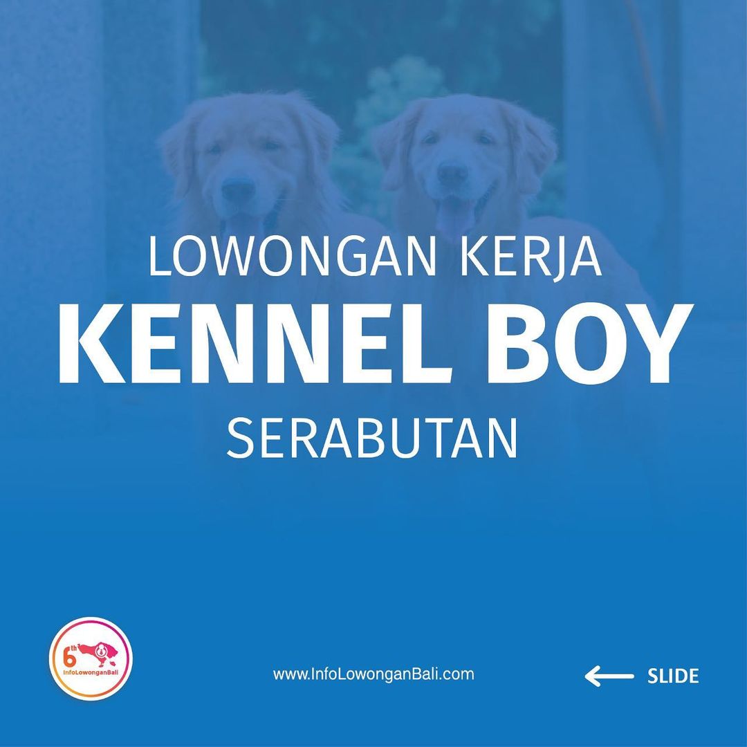 Lowongan kerja
KENNEL BOY serabutan
.
Jobdesc :
- Ngurus anjing
- Feeding , mand...