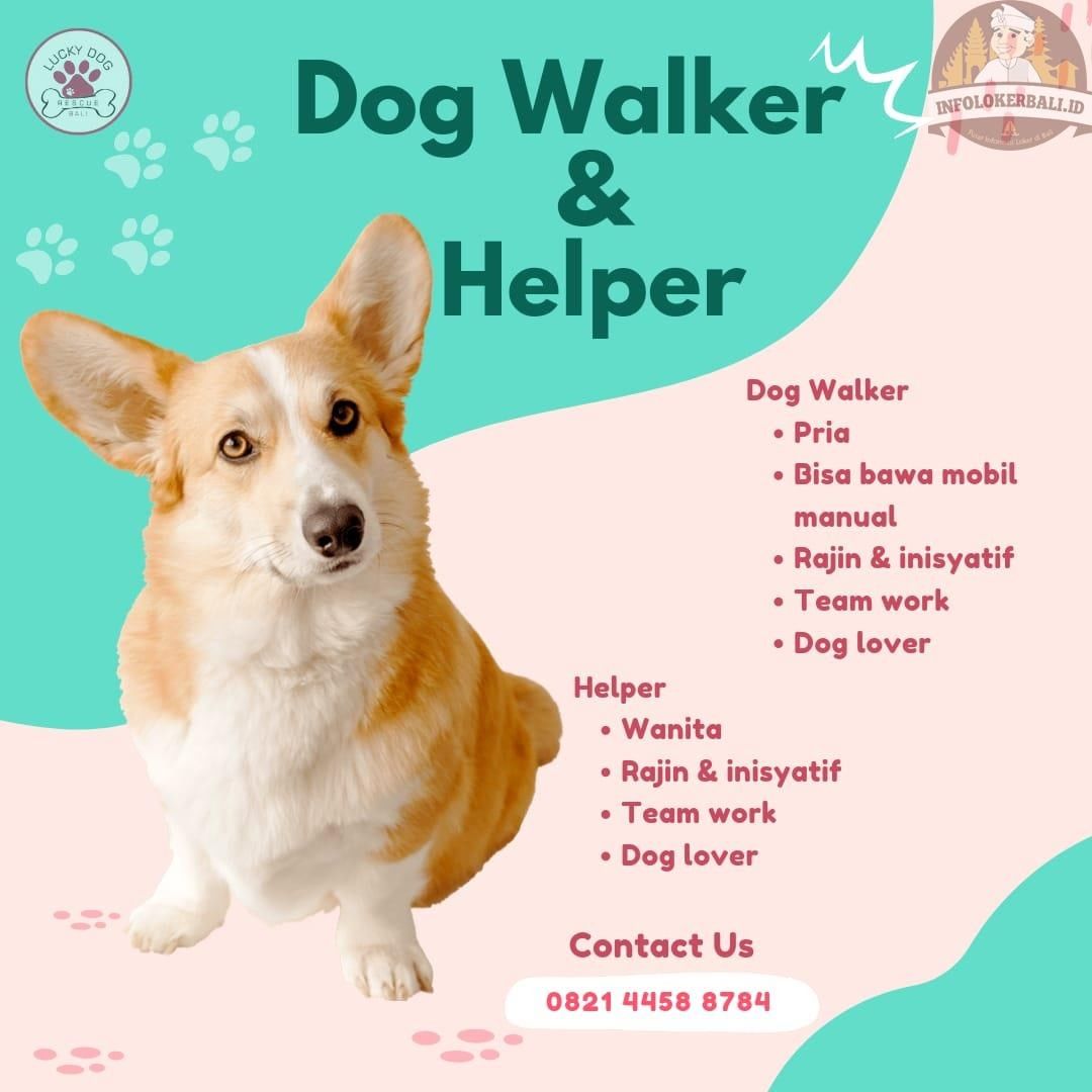 Dibutuhkan segera Dog Walker (wajib bisa menyetir) dan Helper (Cooking & Cleanin...
