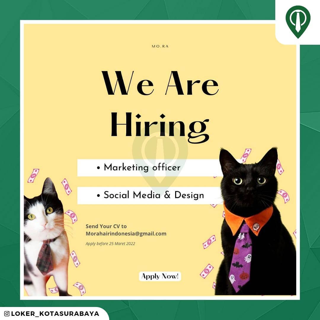 JOIN OUR FAMILY! @Mo.raessentials 
_____
Dibutuhkan segera
 Marketing 
 Social m...