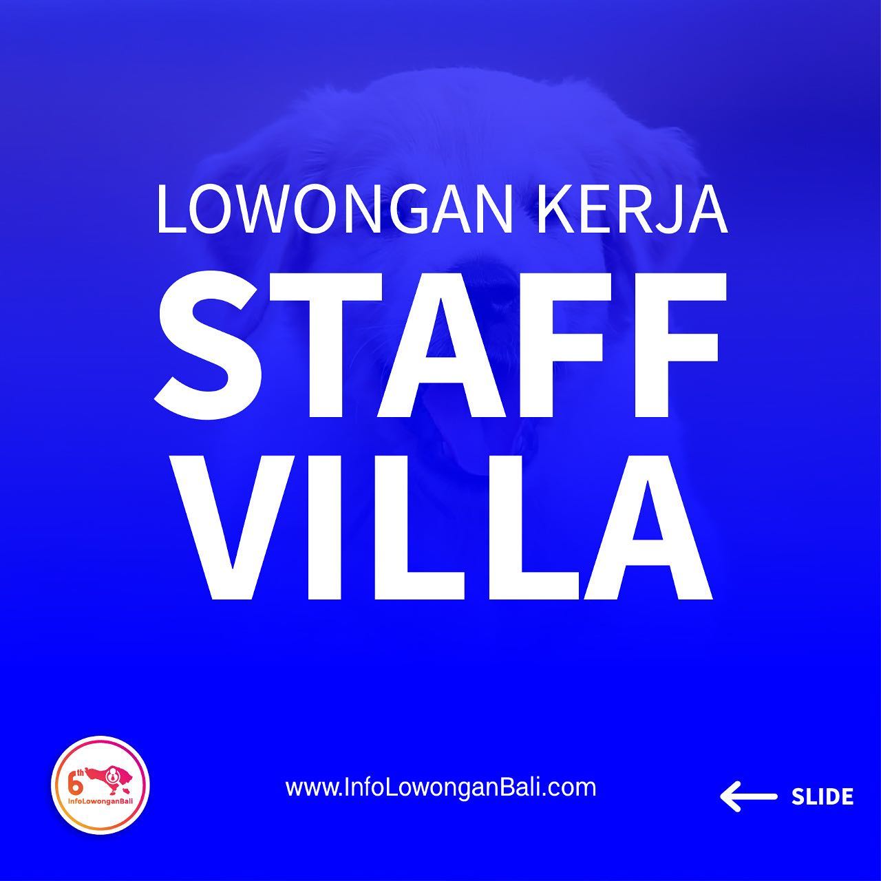Villa Rangga Bodhi - Pantai Berawa, Canggu
Membutuhkan staff villa
.
Kriteria :
...